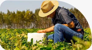 uploads/WhatsApp Image 2025-10-01 at 2.18.22 PM.jpeg